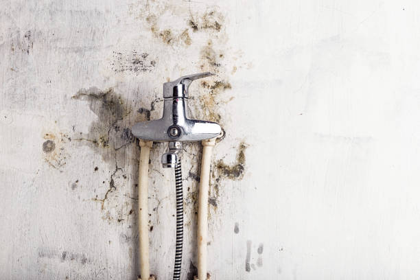 Best Mold Removal and Inspection  in Jefferson City, MO