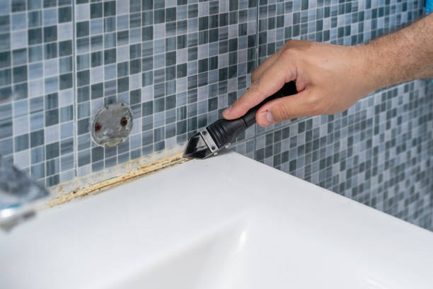 Mold Removal and Inspection in Jefferson City, MO